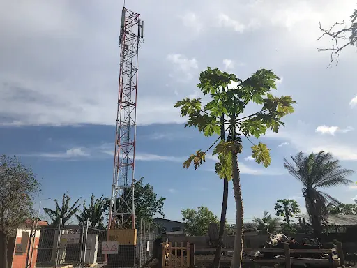 Two Ghanaians and city skyline